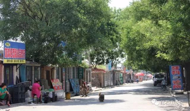 美丽的龙作曲,龙烟的图片