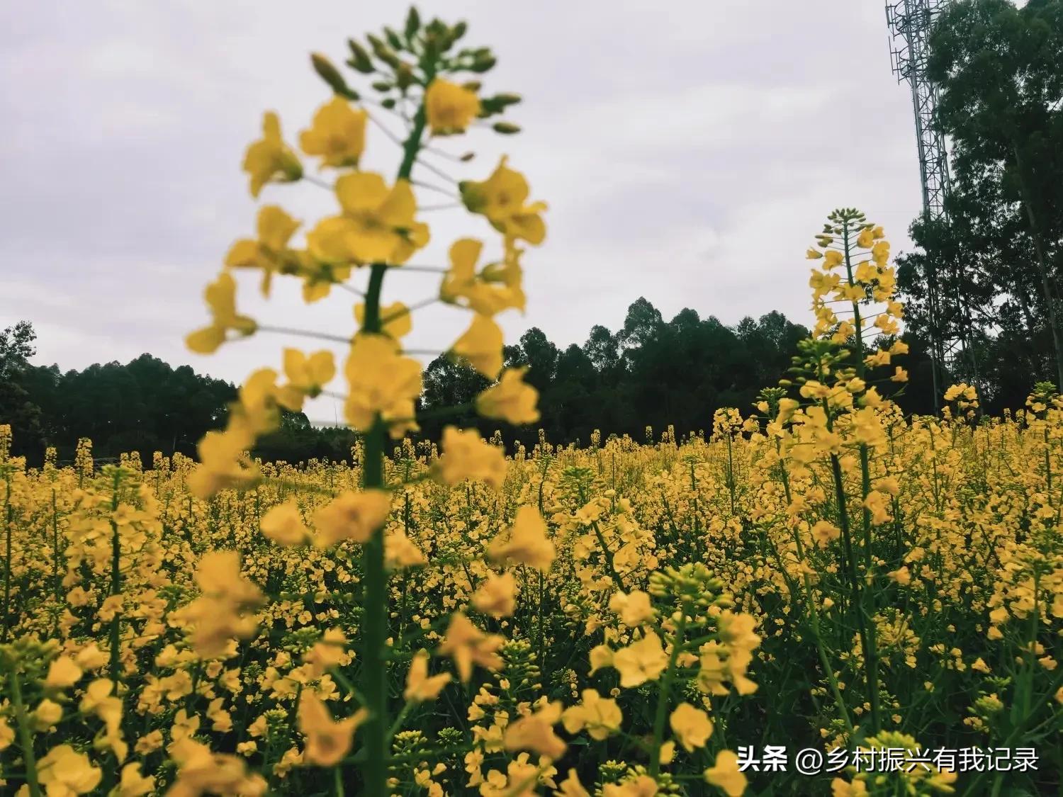 浣曢璐靛窞,浣曢鍘熷垱浣滃搧