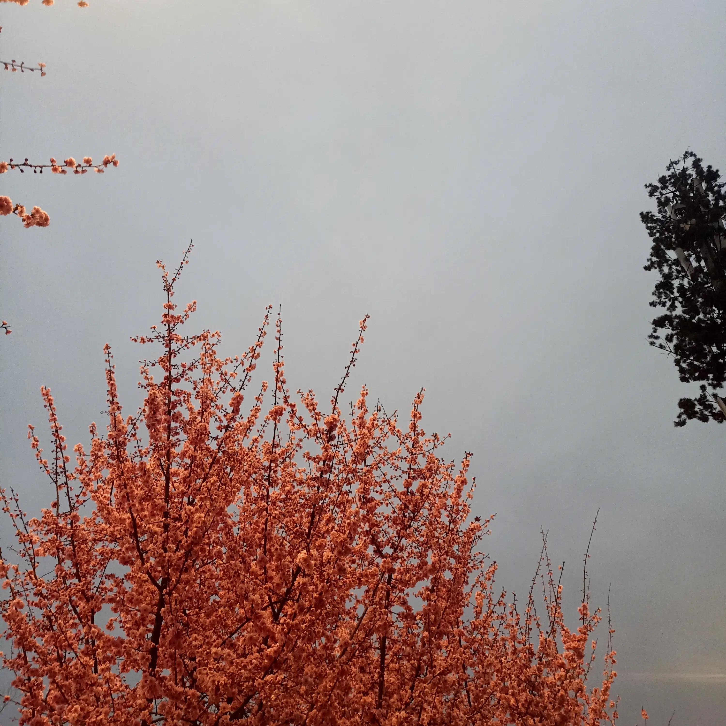 中国最受欢迎的城市美女如云,美女如云帅哥如林什么意思