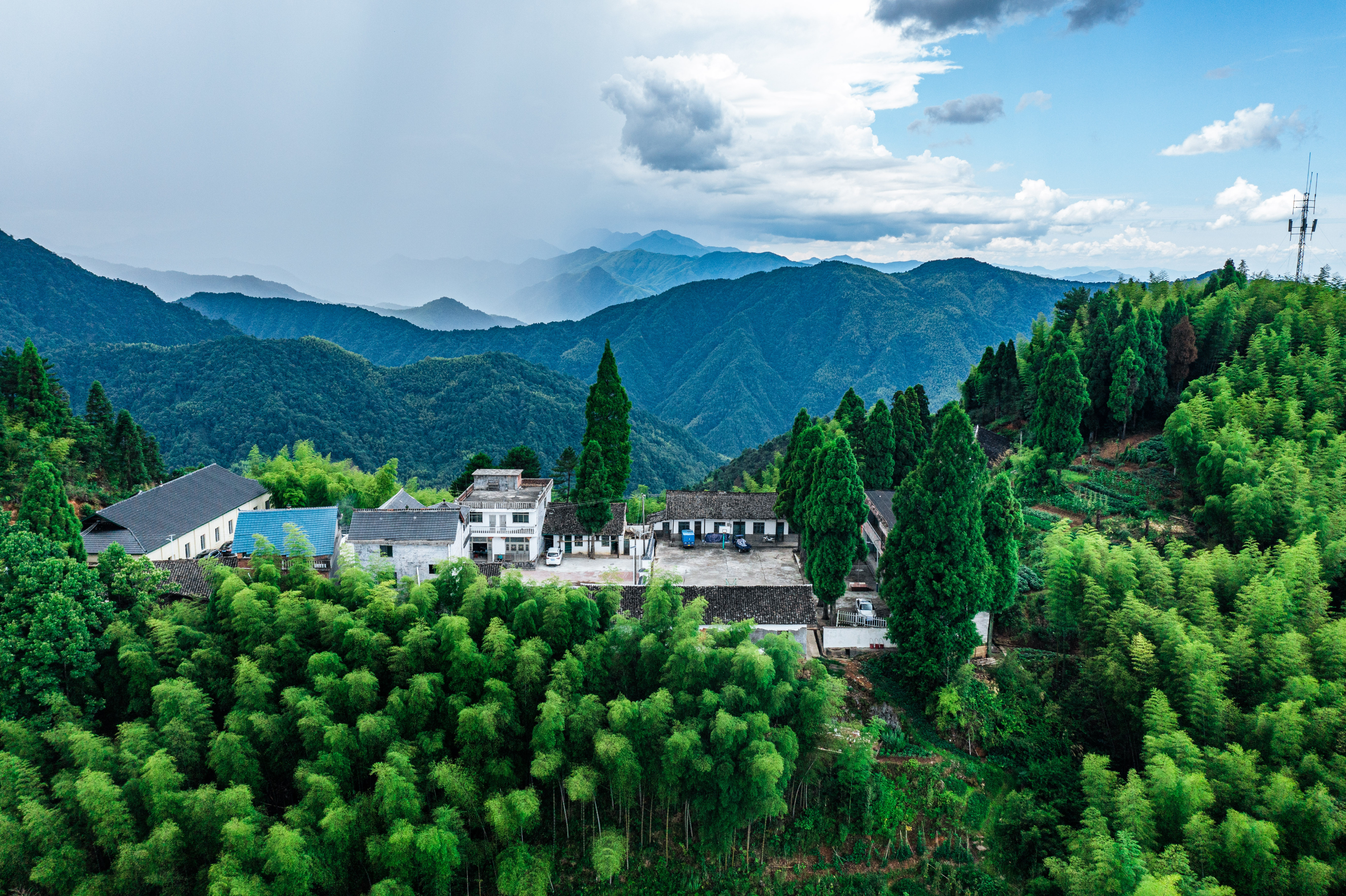 行游五府山：解密3宝，山野美味游走舌尖，传递平实的幸福