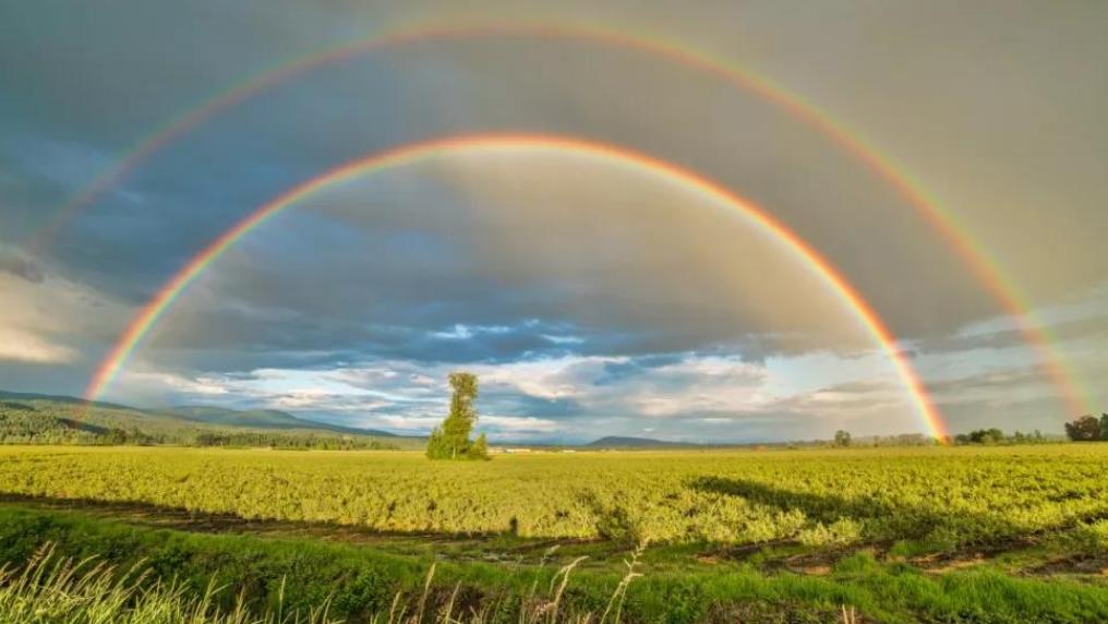 沙弗莱渐变色,沙弗莱配色