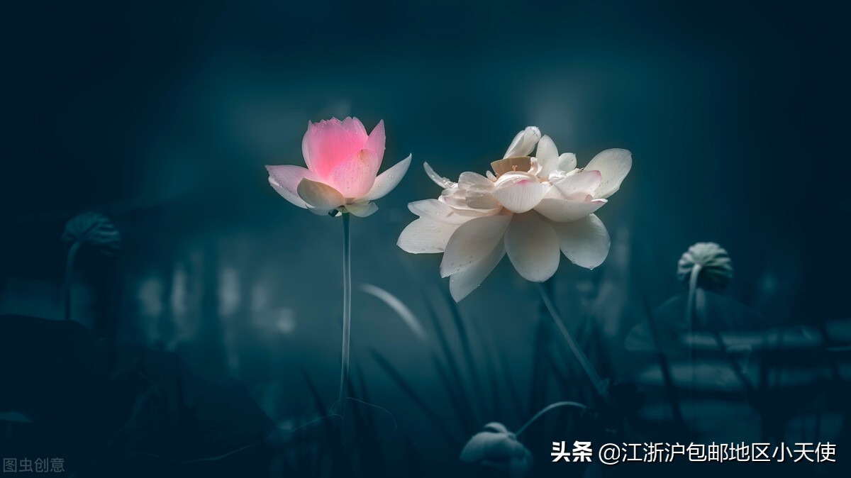 推文题材新颖文笔好的言情种田文,好看的古言高分种田宠文