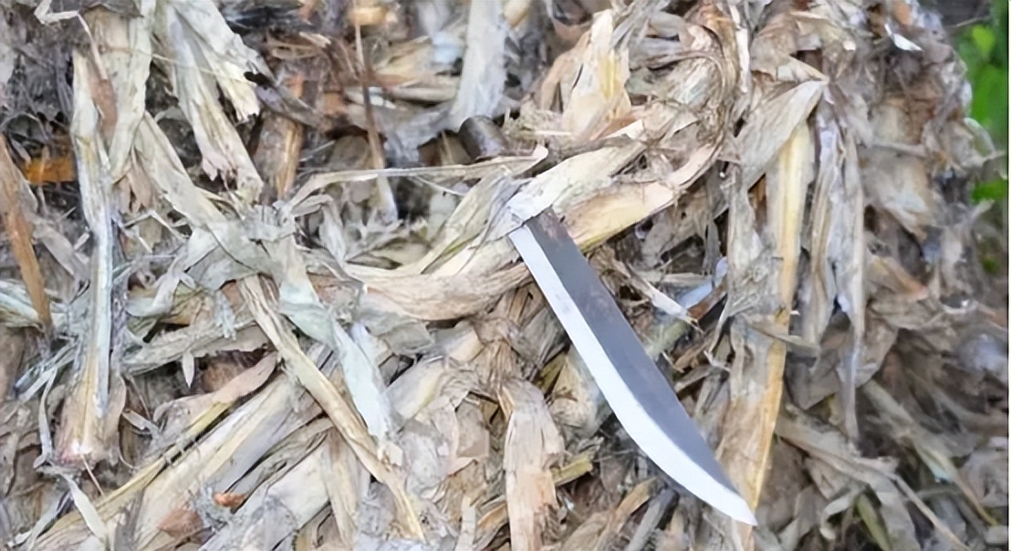 温州市母女裸死案纪实,女子惨死身上检出两个男人的dna