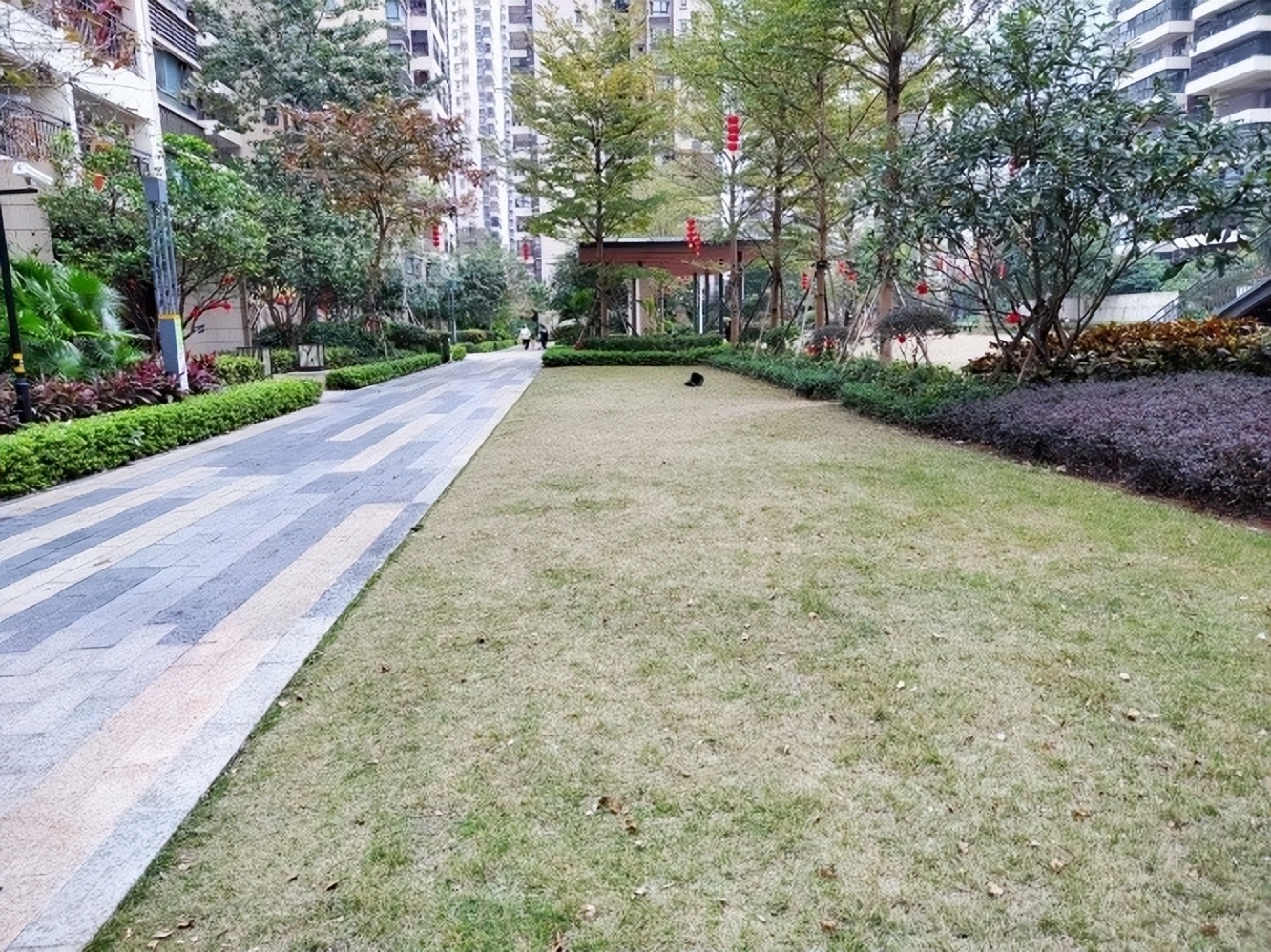 你们的小区绿化都是什么样的,小区绿化你觉得怎么样