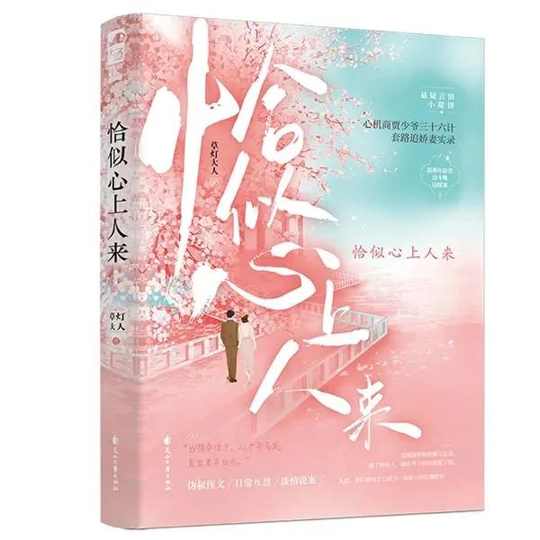 年龄差大的文推荐,年龄差重逢文