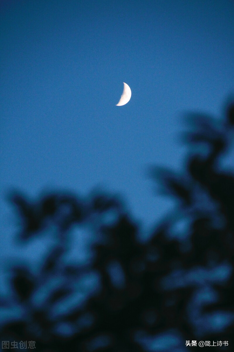 明月诗句经典古诗,一树梨花一溪月不知今夜属何人