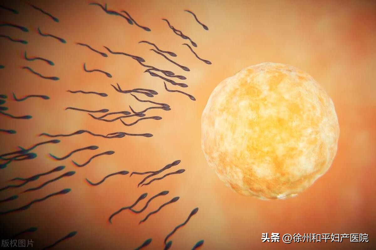 为啥一胎怀孕这么难,为什么一胎过后很容易怀孕