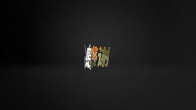 日本海盗汪直,海盗汪直怎么不一统日本