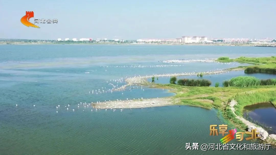 湿地草原坝上草原,河北省坝上草原旅游攻略