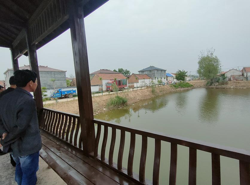 肥乡农村废弃坑塘改造公园案例,废弃坑塘变良田视频