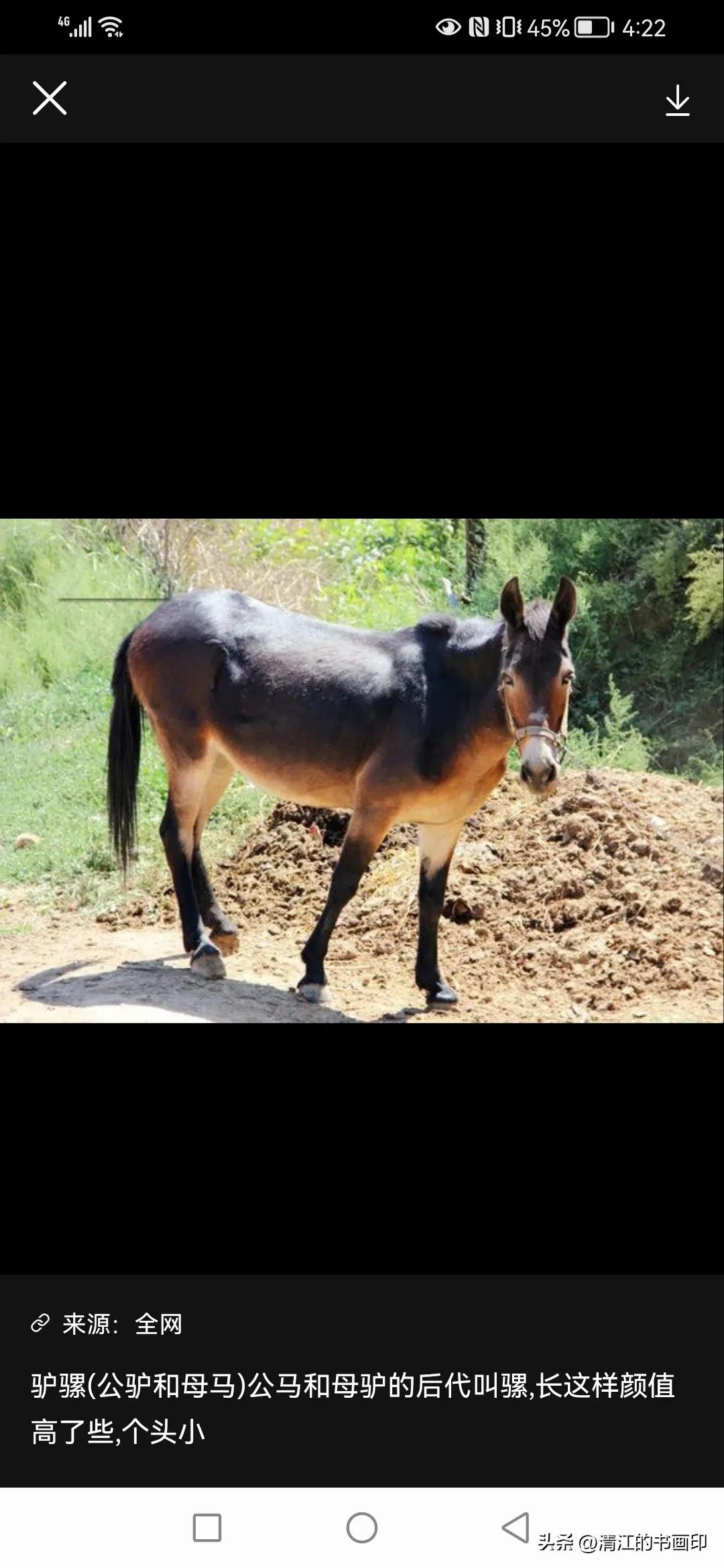 抄书聊斋故事：姓汪名可受，能解＂三世＂事