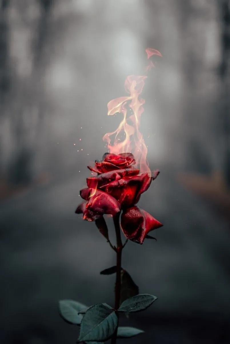 正确认识自己培养深度思考的能力,正确认识自己培养深度思考能力