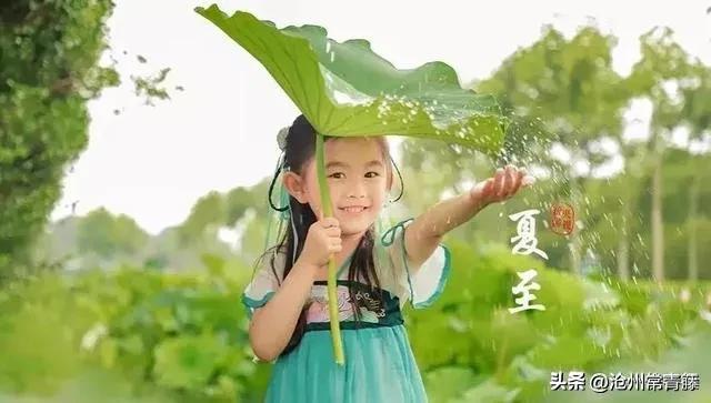 夏至节气感慨,今日夏至话题