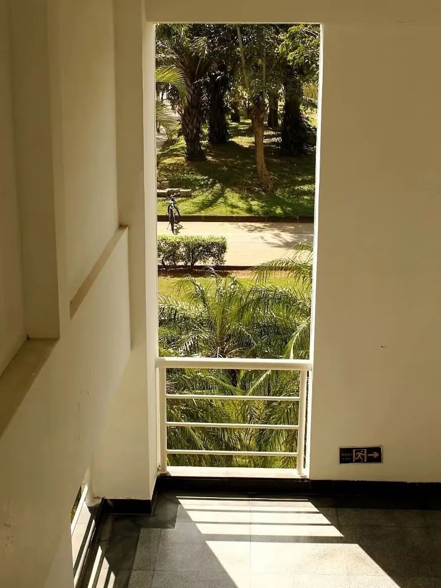 海南大学招生章程,海南大学2019全日制招生简章