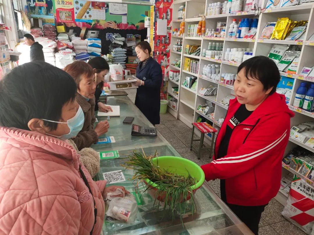 冀鲁豫皖陕五省部分小麦主产县春管探行