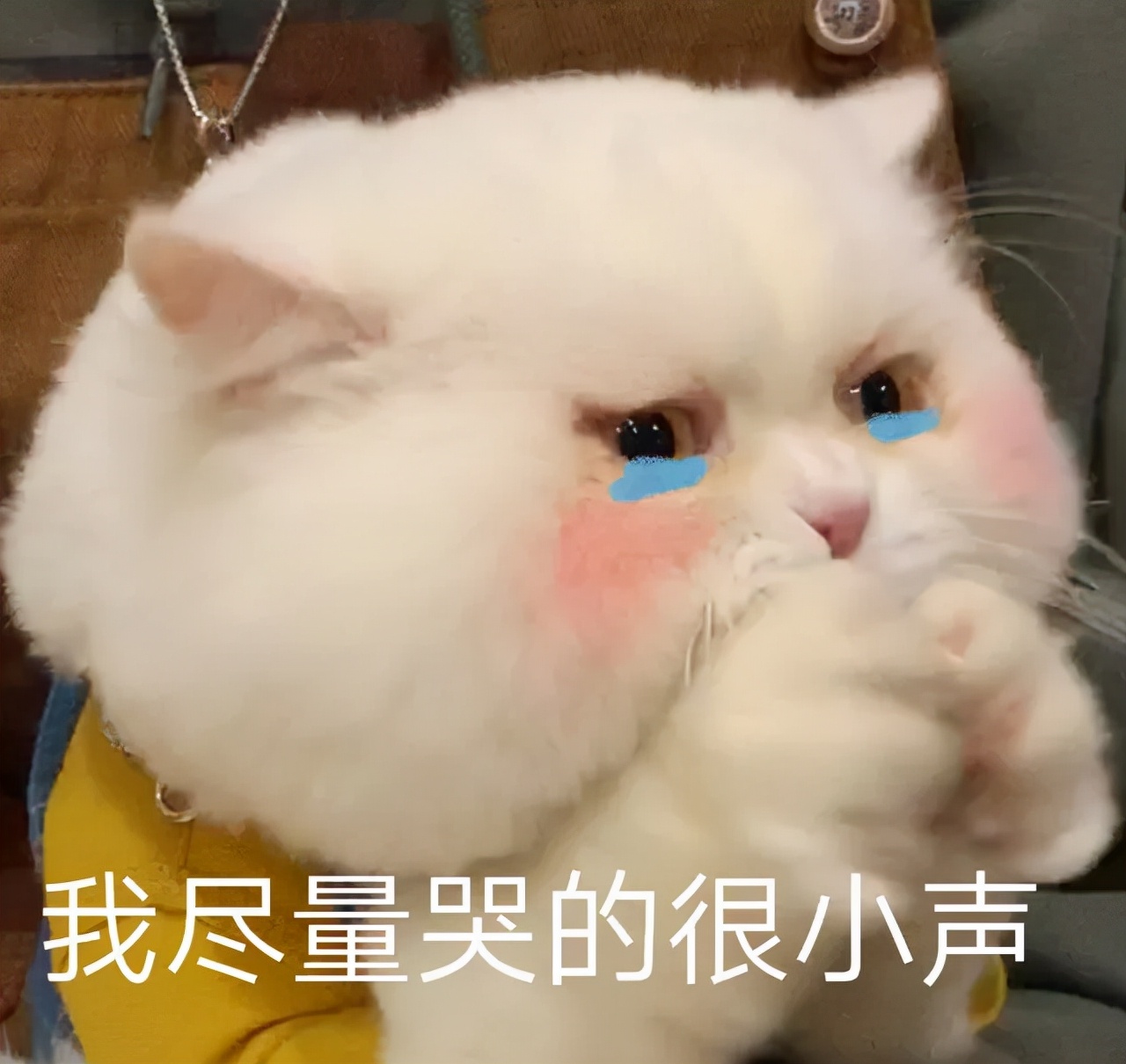 顺产还是剖腹产,不管顺产还是剖腹产坐月子别瞎忙