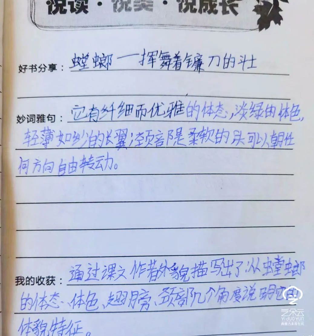 包头团结大街第二小学,包头昆都仑区小学