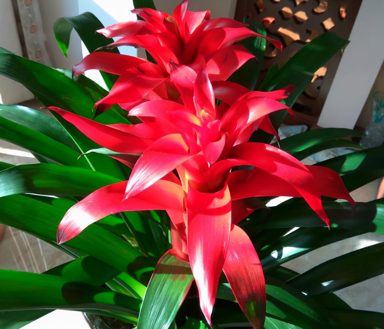 琚獥浜嗕竴娆″氨寰堥毦鎵惧洖鏉ヤ簡,琚獥鍚庤姳浜嗕竴骞磋蛋鍑烘潵