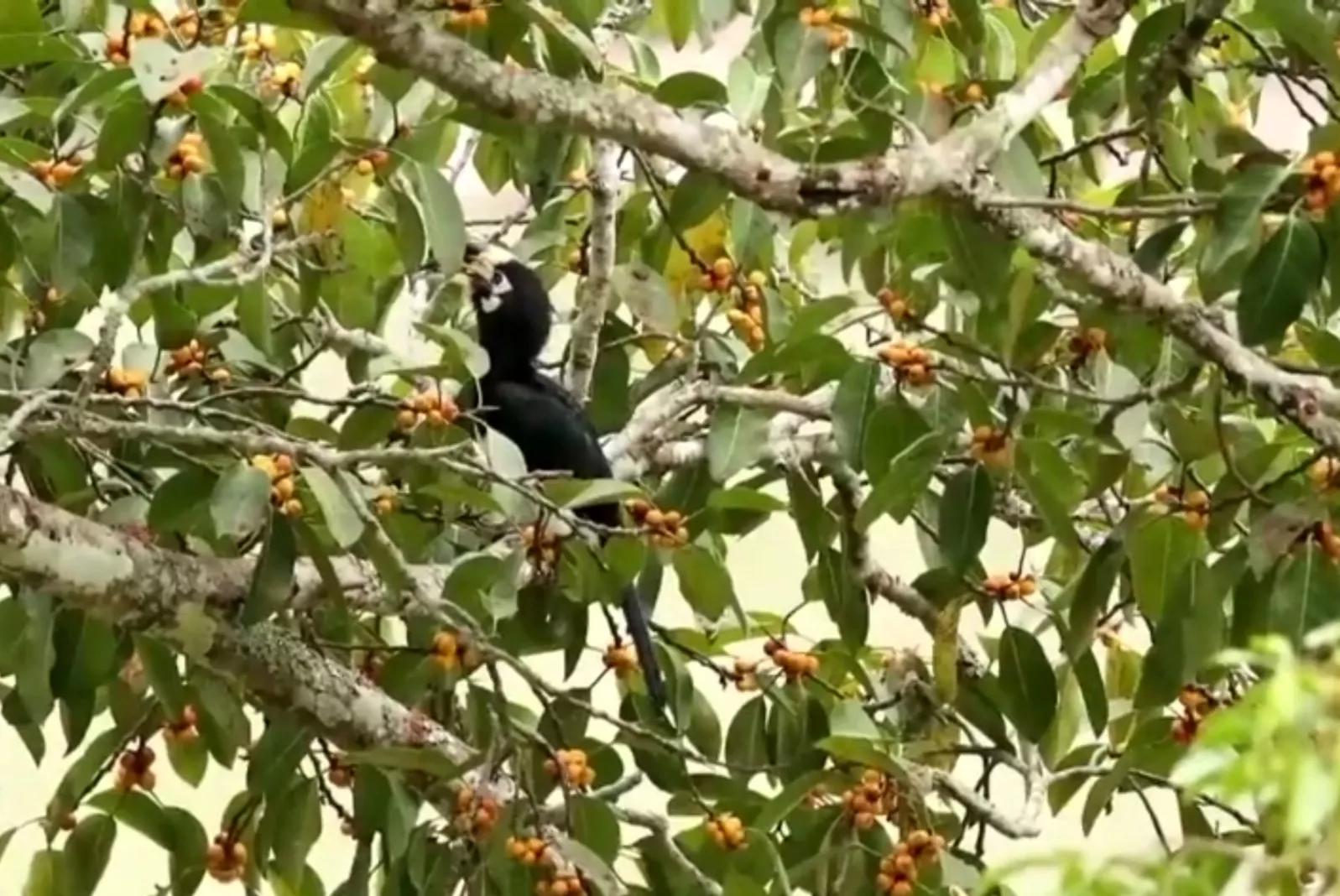 干支纪年如何转换为公元纪年,干支纪年和公元纪年对照表