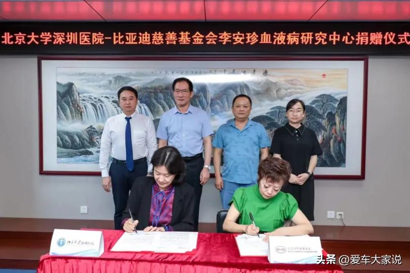 比亚迪是优秀企业吗,为什么说比亚迪是国企