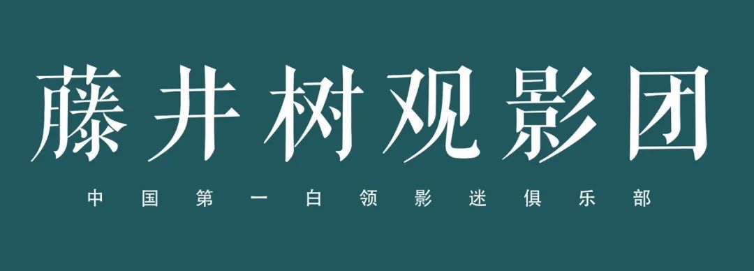 藤井树直播截图,藤井树直播视频