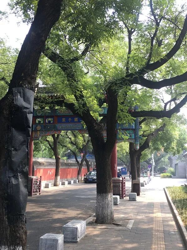 国子监腾退开始了吗,国子监腾退什么时间开始