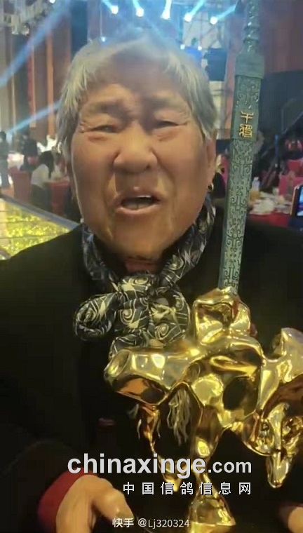 鸽界那些事,鸽界的那些事