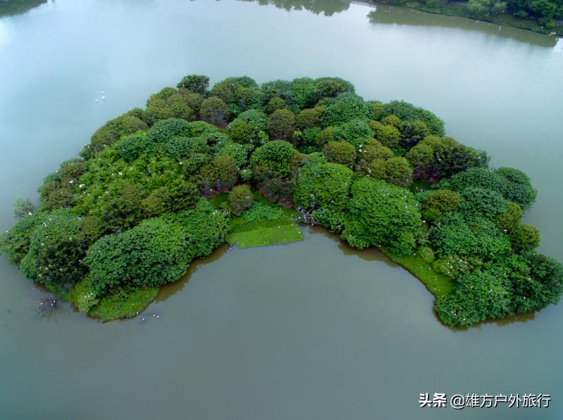 佛山花海旅游推荐,佛山花海生态公园