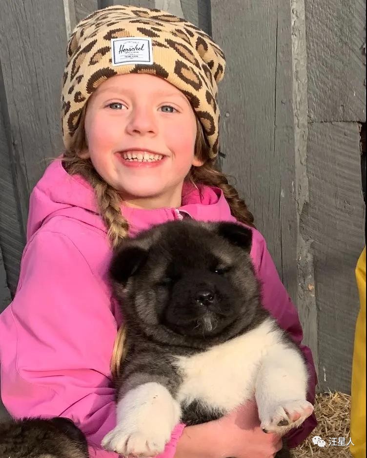 网友养了两只狗,网友养了一只特别凶狗