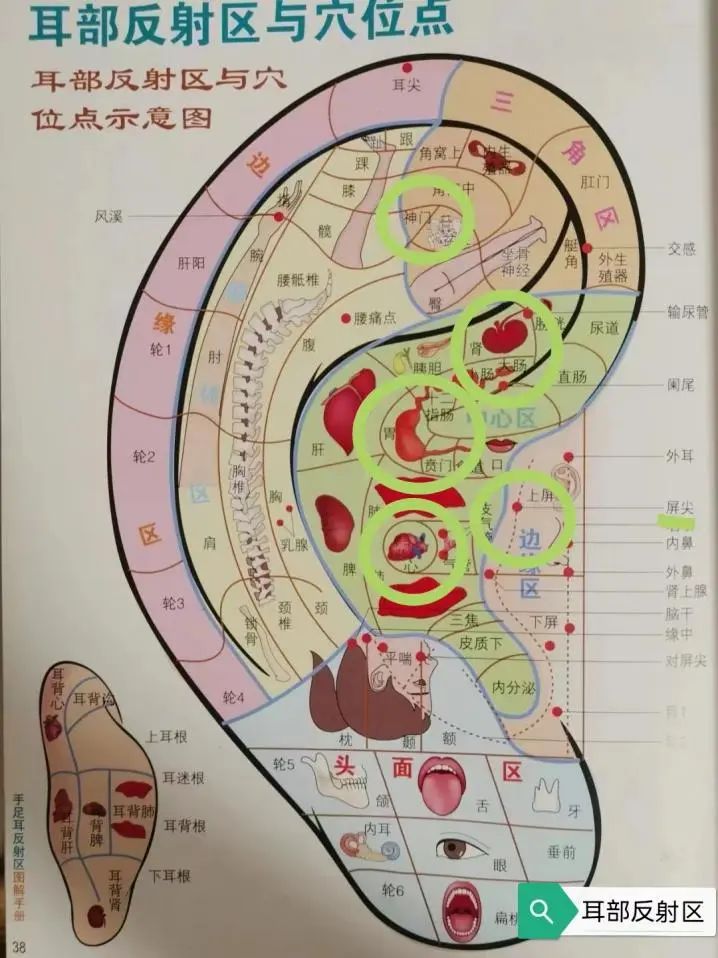 半夜失眠按哪个穴位,夜里失眠按哪个穴位