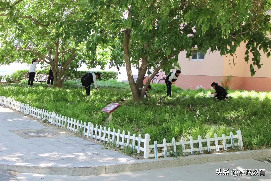 武邑宏达学校高中,武邑宏达高中和武邑宏达实验区别