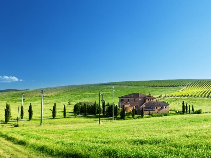 当我失恋了的时候该怎么办,我失恋了我很难过