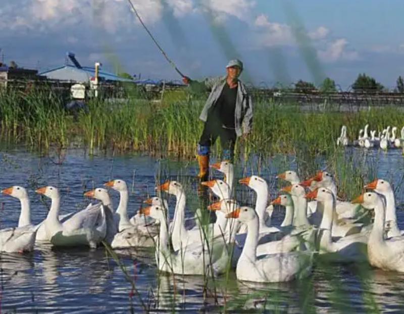 农民被警察抓走了后续,陕西一村民被查处