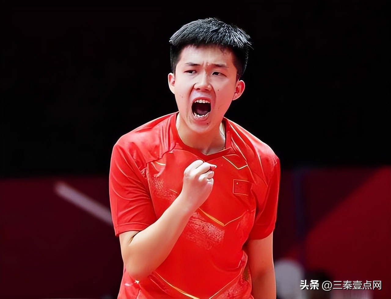 陈梦身家,陈梦的个人身价多少亿