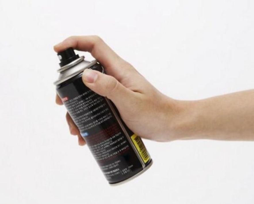 无脚鸟飞走,无脚雨燕如何繁殖