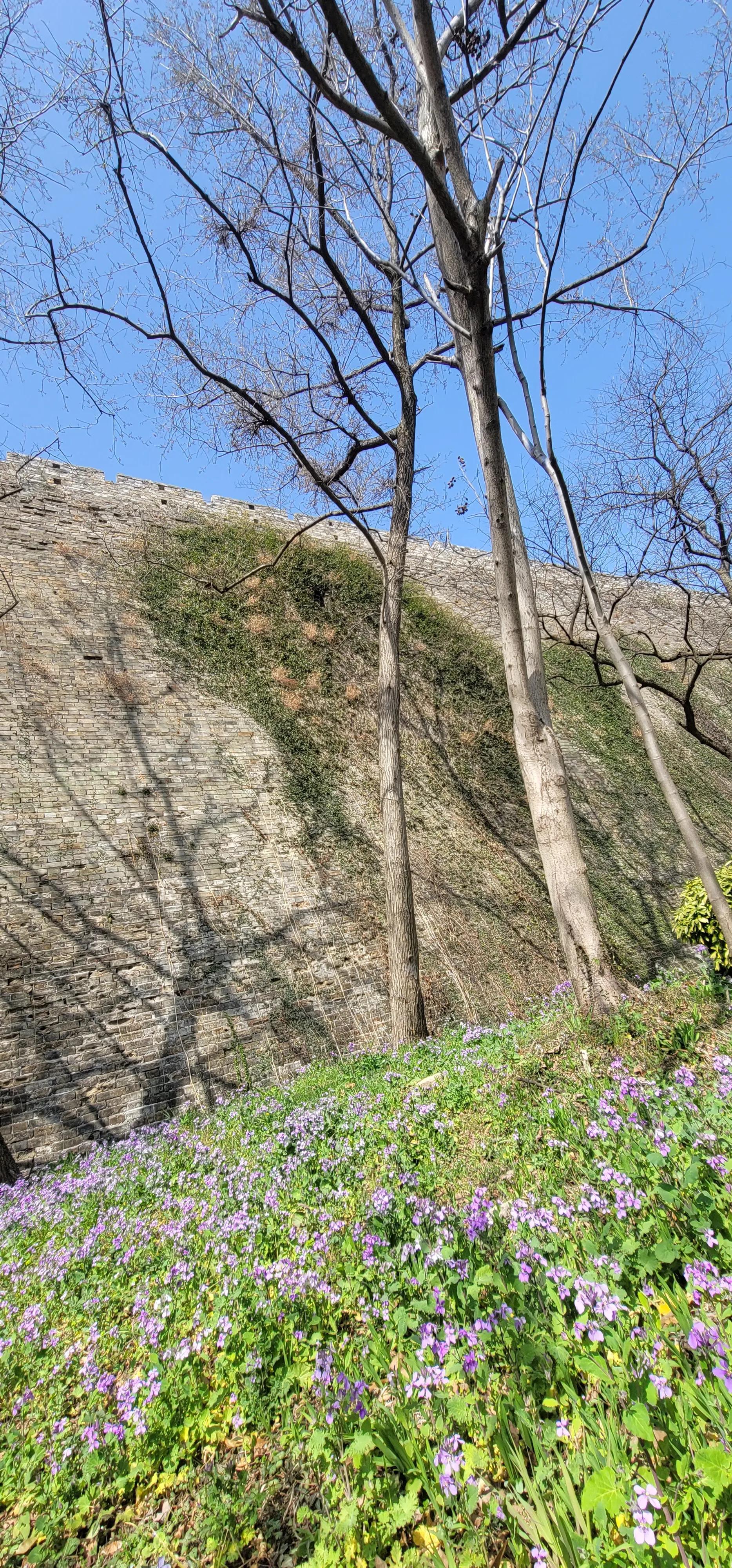 开着沪牌回老家怎么样,开着大巴玩转江浙沪