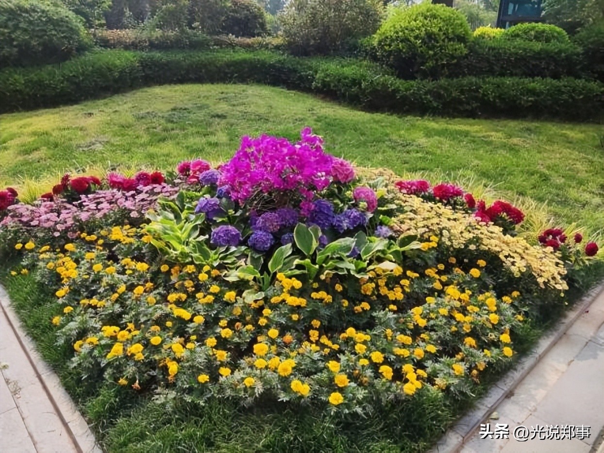 万科物业焕新行动,万科物业参与城市更新服务