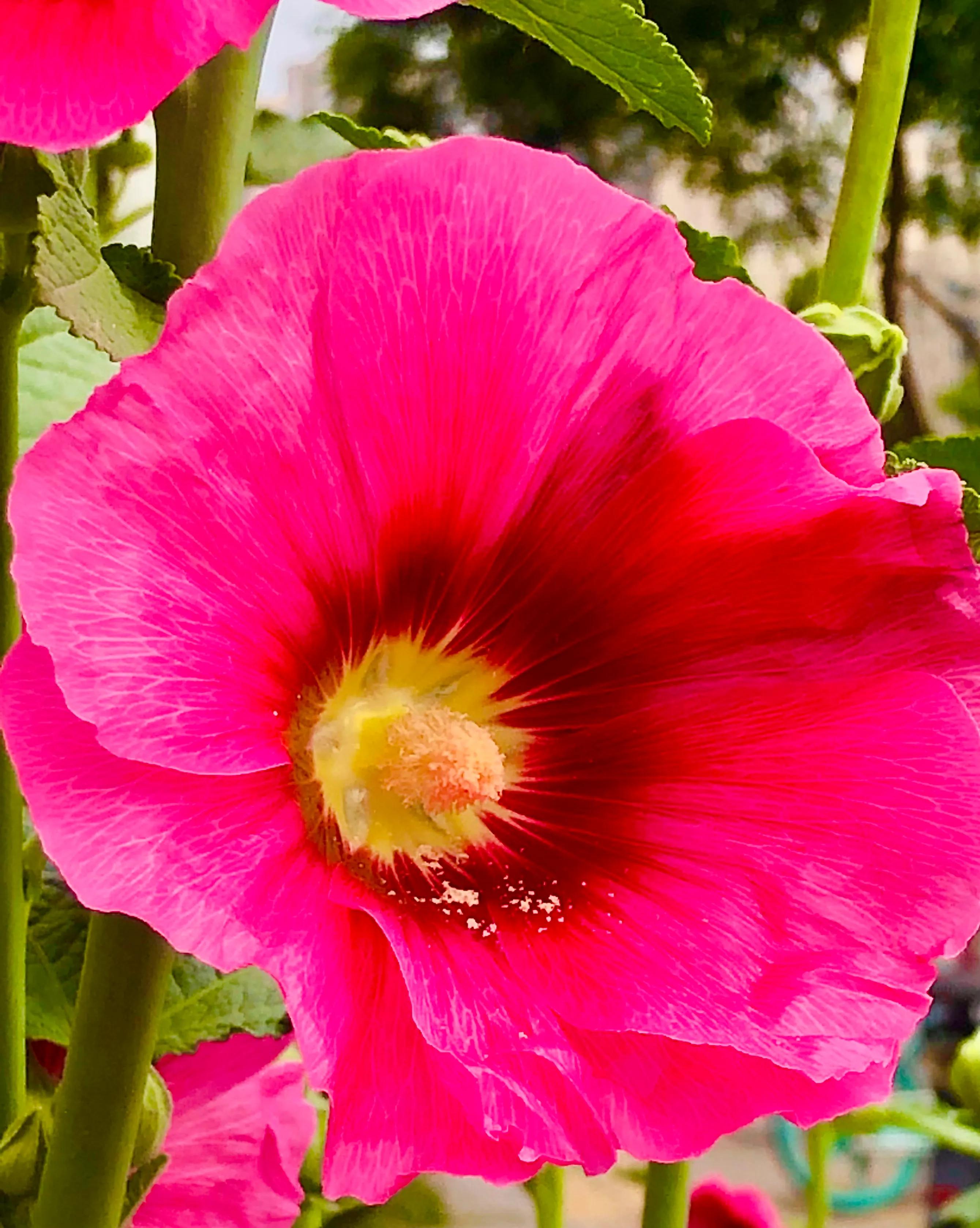 生活的极致就是化繁为简,极简是一种生活态度越简单越精致