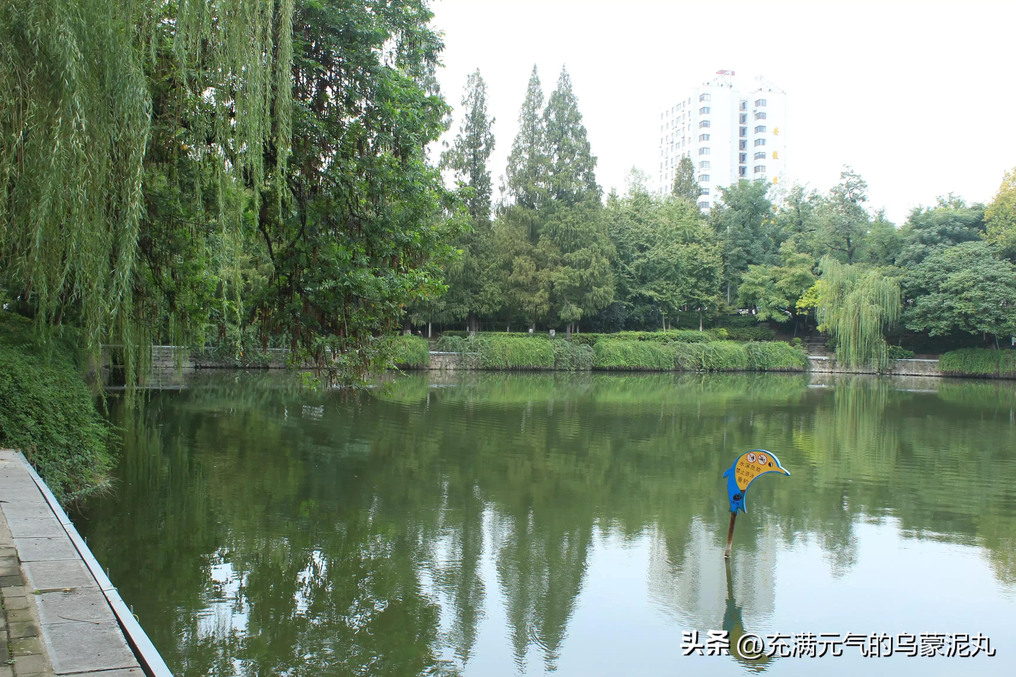 被保健品蛊惑的老人,被保健品骗的老人