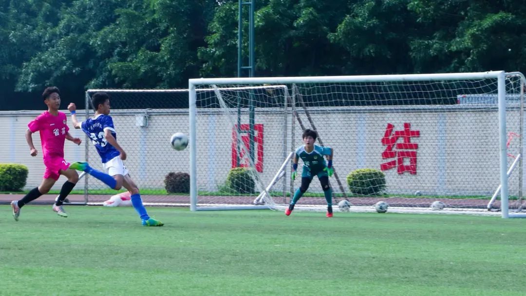 王嘉胤足球,王嘉胤是国家几级运动员啊