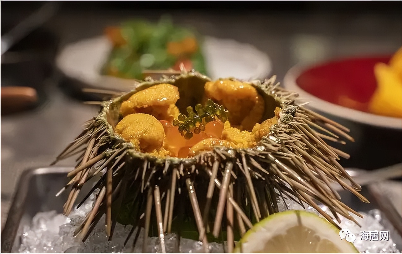 去海南必吃的海鲜,海南必吃哪些海鲜