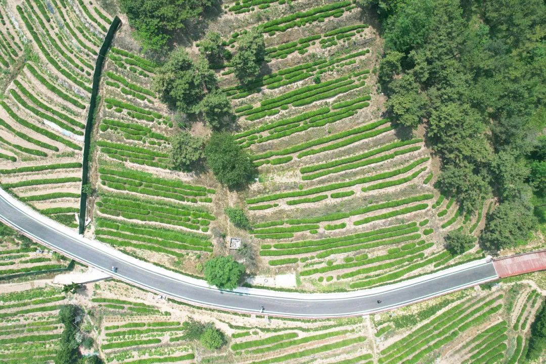 青岛浮山森林公园好玩吗,青岛浮山森林公园开放时间