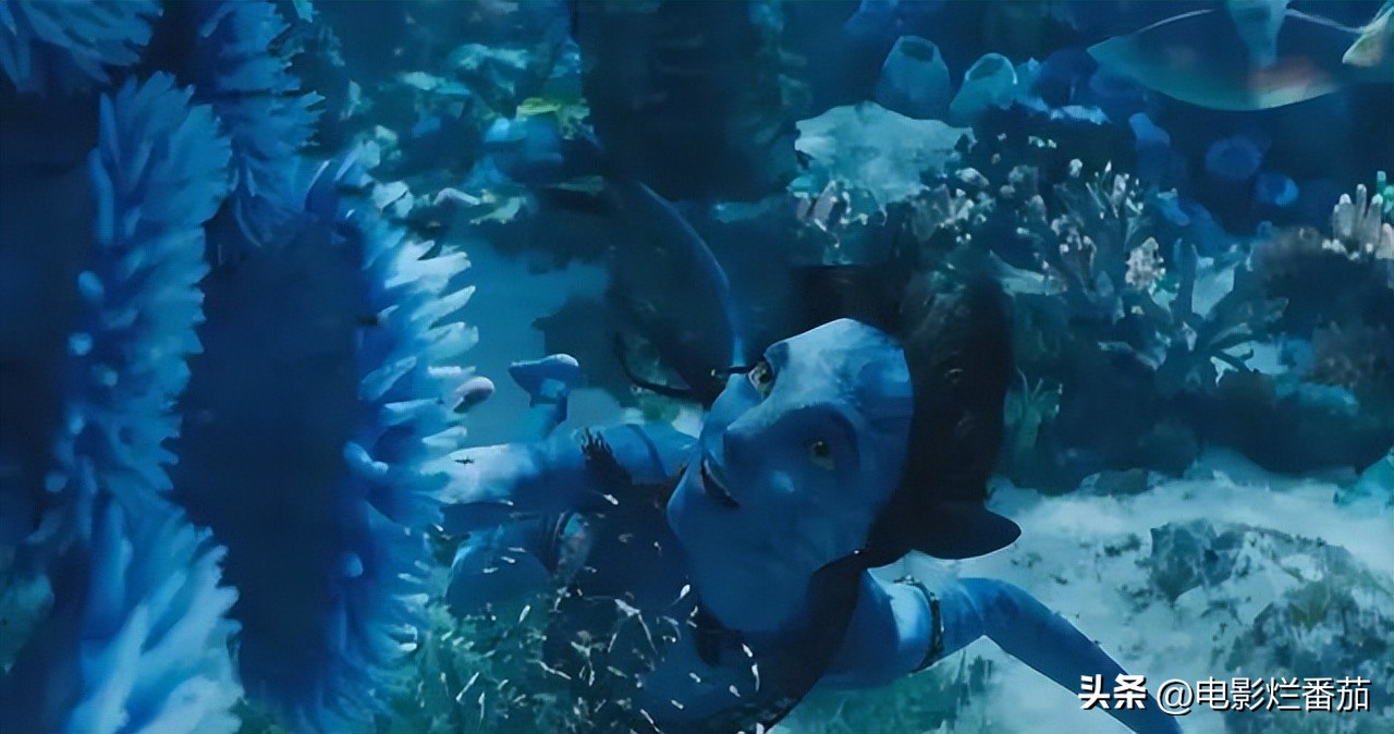 全球票房破亿电影,全球票房破百亿