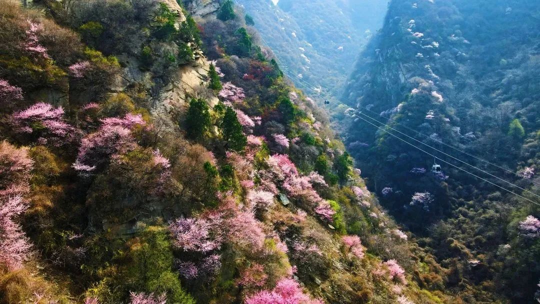 华山淡季旅游攻略,华山游玩季节推荐