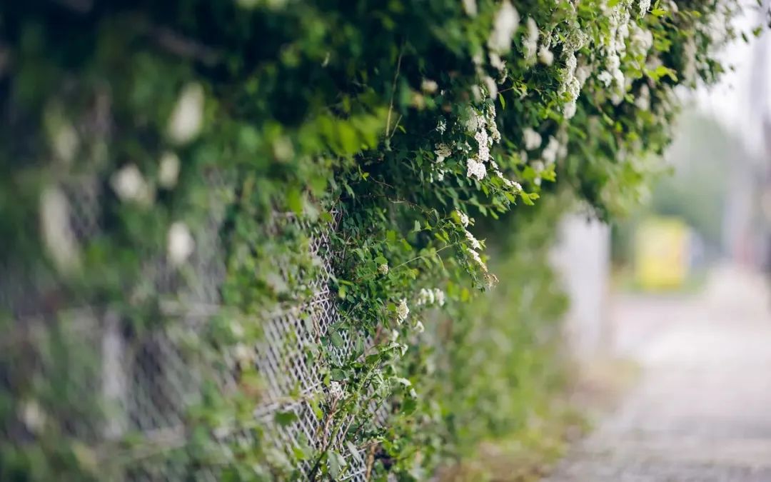 寒假日记打羽毛球400字20篇六年级,寒假日记大全300字三年级寒假趣事