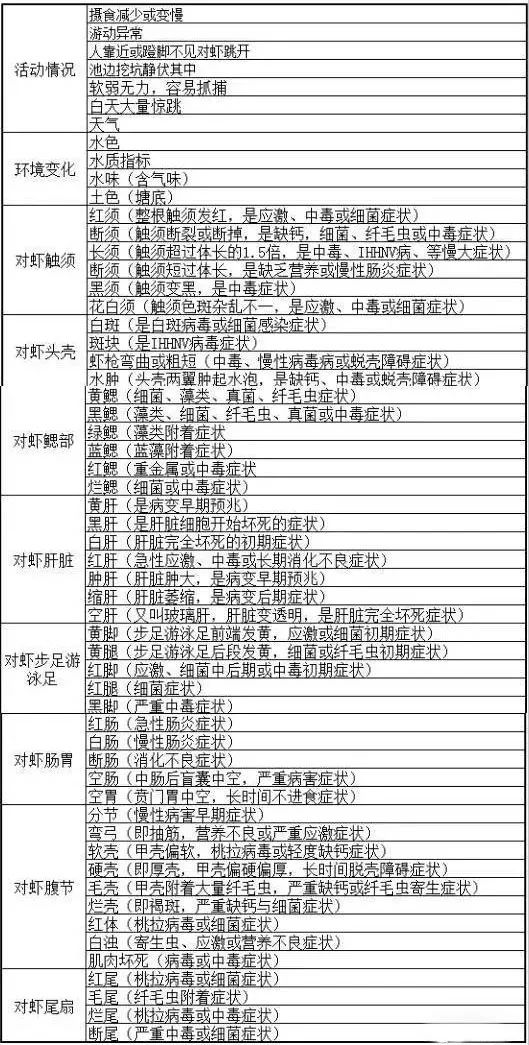 南美白对虾常见疾病及处理方法,南美白对虾常见病症图片详解