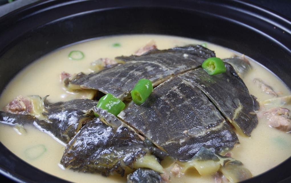 正宗湘菜红煨甲鱼酱料,红煨甲鱼的湘菜正宗图片