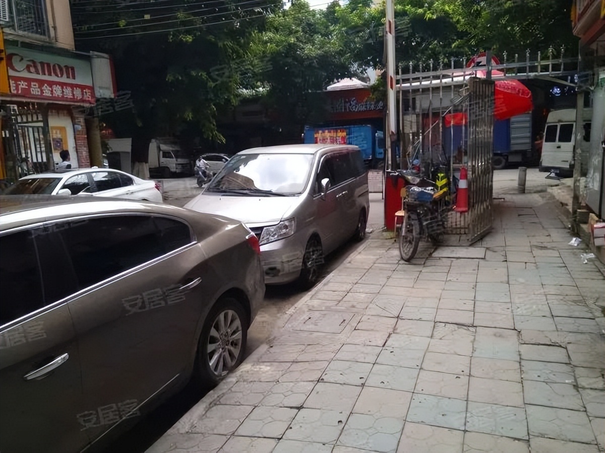 粤剧、醒狮、武术、科技……TA有39个宝藏社团？