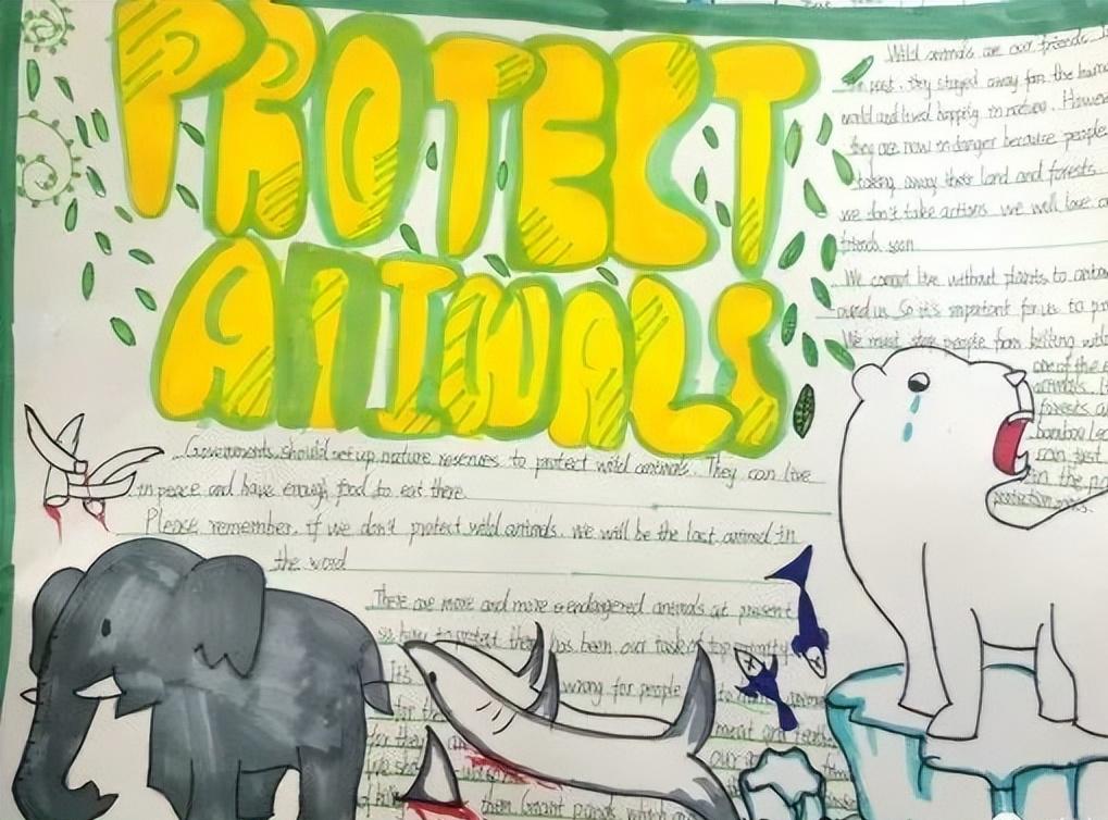 保护动物的英语手抄报六年级图文,英语保护动物手抄报六年级内容