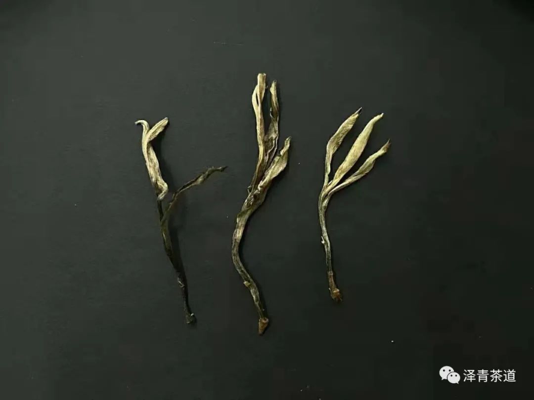 泡新茶普洱茶的正确方法,普洱春茶冲泡